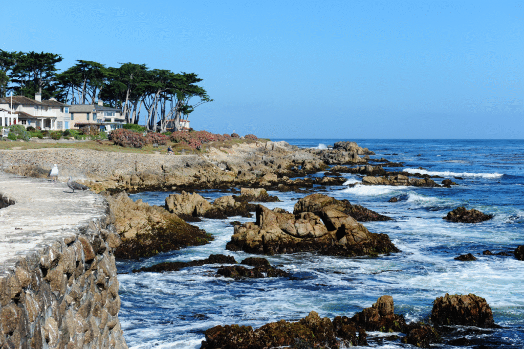 Beach Hotels in Monterey