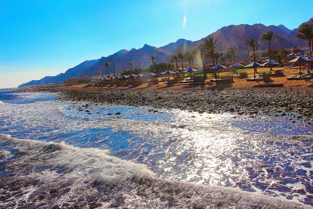 dahab tour guide