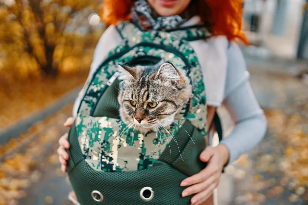 Sacs de transport pour chats