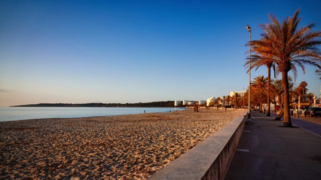 Long sandy beach and palm-lined promenade at sunrise in Majorca