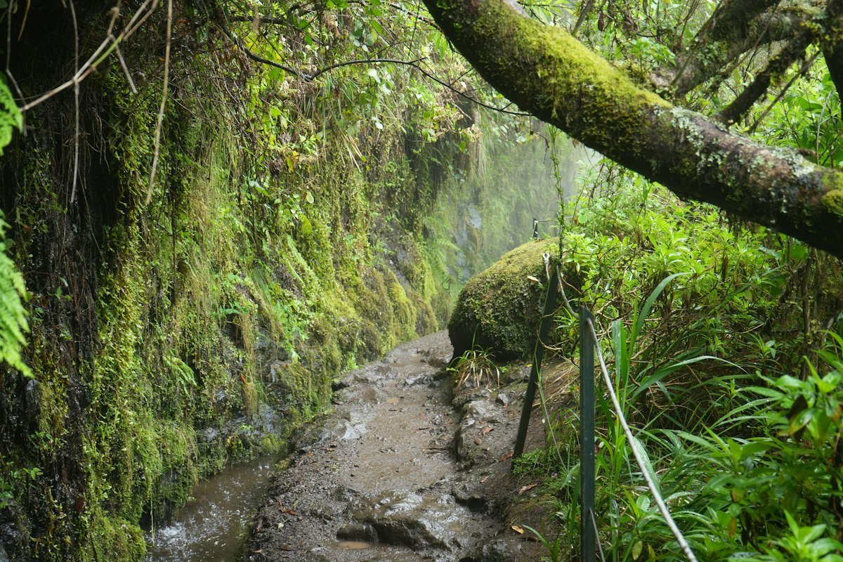 Madeira Travel Guide for Walkers, Swimmers and Winter Sunshine